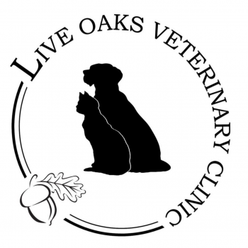 live-oaks live-oaks